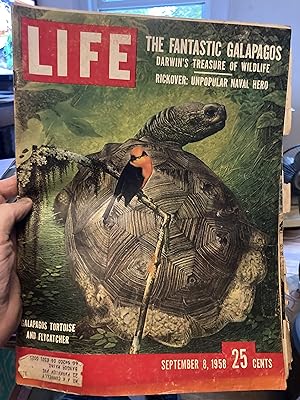 life magazine september 8 1958