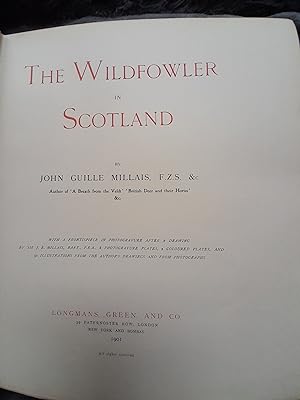 The Wildfowler In Scotland