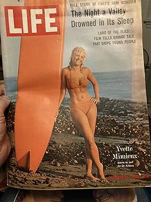 life magazine october 25 1963