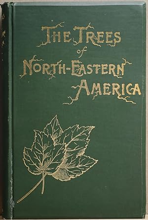 The trees of Northeastern America. Illustrations from original sketches