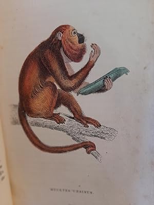 The Naturalist s Library. Mammalia. Vol. I. Monkeys.