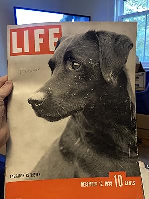 life magazine december 12 1938