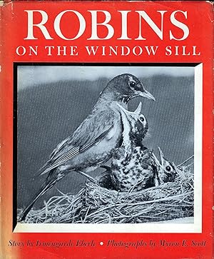 Robins on the Window Sill