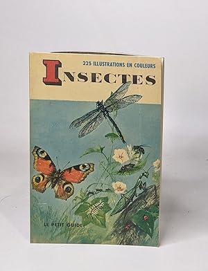 Insectes le petit guide illustré