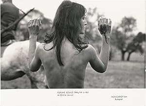Red Psalm [Meg ker a nep] (Six original photographs from the 1972 Hungarian film)