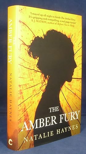 The Amber Fury *First Edition, 1st printing*