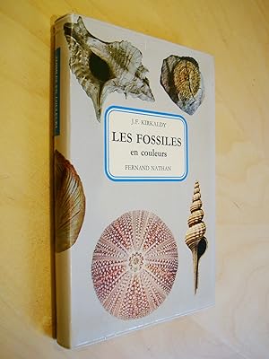 Les fossiles en couleurs