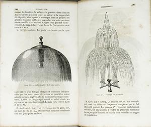 BON (LE) jardinier. Almanach horticole pour l'année 1865.