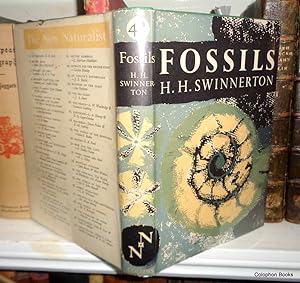 Fossils. New Naturalist 42