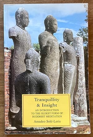 Tranquillity and Insight : An Introduction to the Oldest Form of Buddhist Meditation