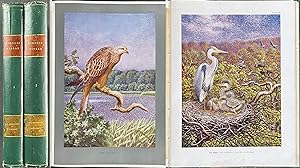 Jagerskiold & Koltholff's Nordens Faglar - Two Volumes with 165 Bird Chromolithographs