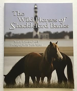 The Wild Horses of Shackleford Banks.