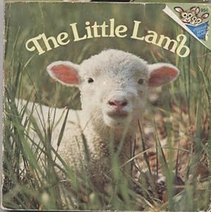 The Little Lamb [SIGNED]