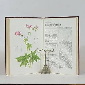 Pelargoniums of Southern Africa. Vol 2