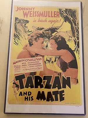 Tarzan and His Mate 11" x 17" Poster in Hard Plastic Sleeve, Nice!