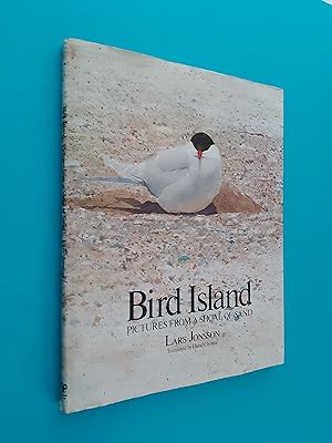 Bird Island: Pictures From A Shoal Of Sand