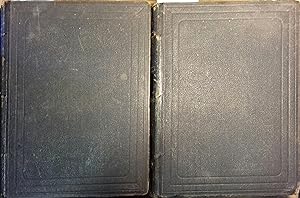 Nouveau dictionnaire universel. (En deux volumes). Dictionnaire vendu en livraisons sur abonnemen...