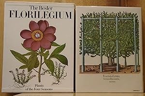 The Besler Florilegium : Plants of the Four Seasons
