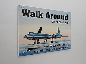 SR-71 Blackbird - Walk Around No. 32