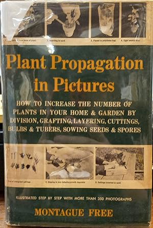 Plant propagation in Pictures