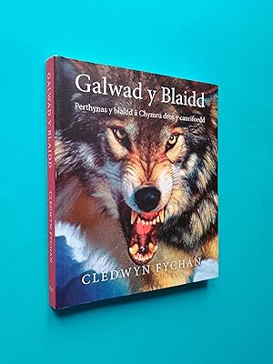 Galwad y Blaidd: Perthynas Y Blaidd a Chymru Dros Y Canrifoedd