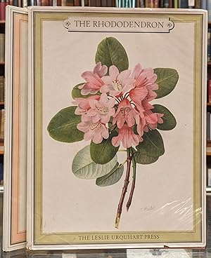 The Rhododendron, 2 vol