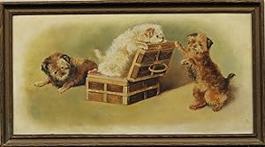 Trio of Terrier Puppies