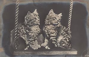 Cats On Swing Antique Panel Wood Old Bas Relief Rare Postcard