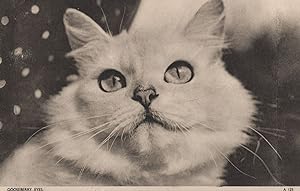 Gooseberry Eyes Jarrold RARE Cat Chrome Series Cats Postcard