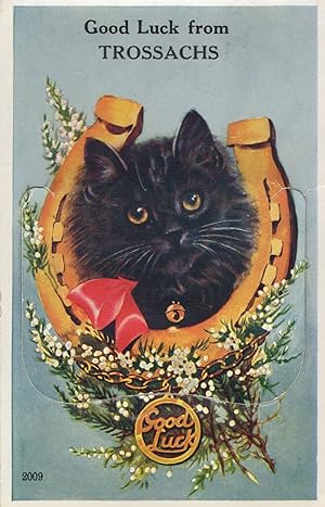 Trossachs Lucky Black Cat Mailing Novelty Scottish Old Postcard