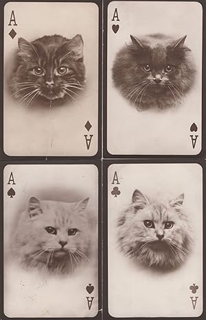 Tucks Ace Of Hearts Diamonds Spades Clubs Cat 4x Playing Card Postcard s