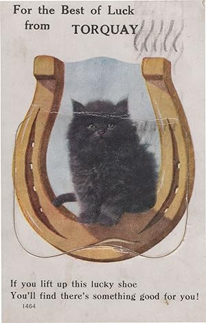 Torquay Lucky Black Cat Mailing Novelty Devon Old Postcard