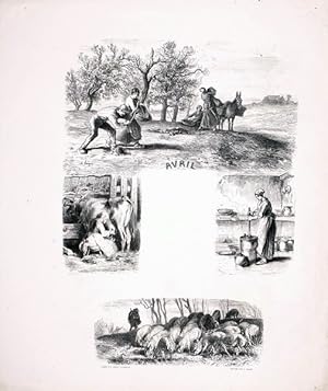 [Album de sujets rustiques gravés pour l'Illustration d'après les tableaux et les dessins de Ch. ...