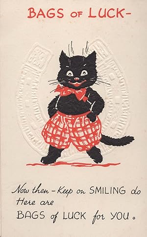 Baggy Trousers Black Lucky Cat Old Fashion Comic Relief Postcard