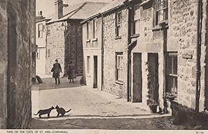 Two Of The Cats Of St Ives Cornwall Jarrolds Rare Chrome Postcard