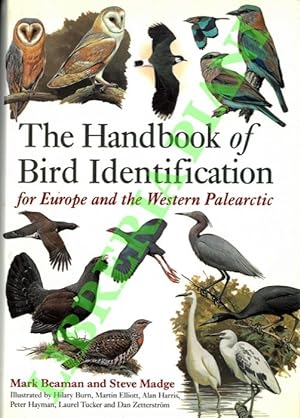 The handbook of the bird identification for Europe and the Western Palearctic.