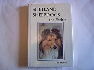 The Shetland Sheepdogs: Sheltie.