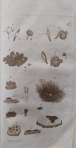 Spicilegium Florae Germanicae - Pars Prior (all published)