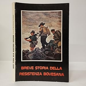 Breve storia della Resistenza bovesana