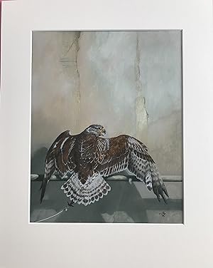 Ferruginous Hawk with Jessie [Original Falconry Watercolour, monographed]
