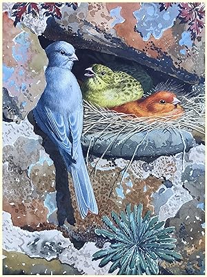 C. F. TUNNICLIFFE - Two original watercolour paintings from Lockley's CINNAMON BIRDS