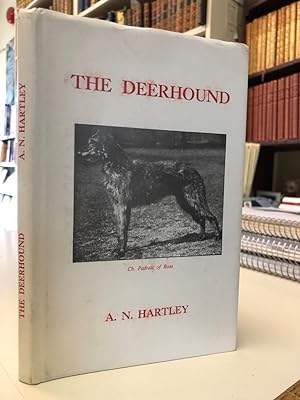 The Deerhound