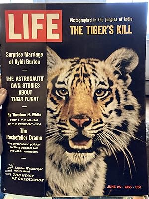 life magazine june 25 1965