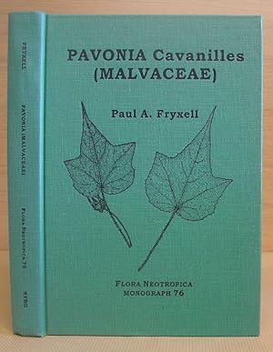 Pavonia Cavanilles ( Malvaceae )