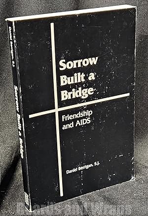Sorrow Built a Bridge Friendship and AIDS