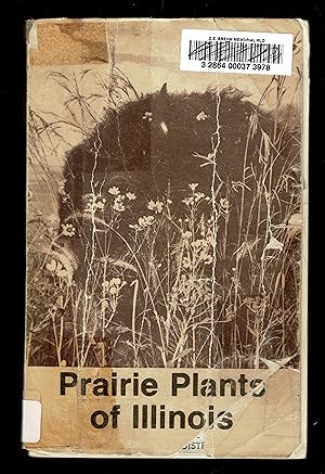 Prairie Plants Of Illinois