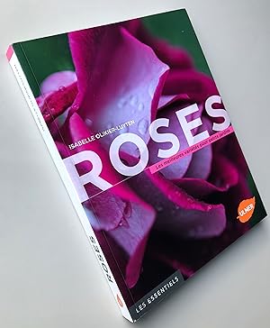 Roses : les meilleures variétés pour petits jardins