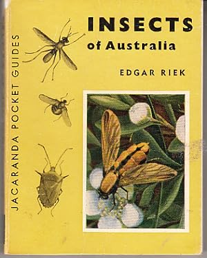 Insects of Australia: an introduction to the life and form of these small winged animals.