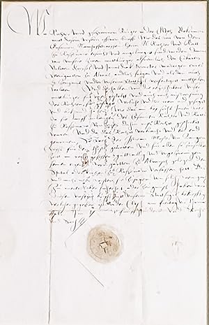 Document confirming the donation of a Vineyard in Roznava (Rozsnyó, now in Slovakia) (1566)