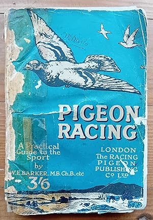 Pirgeon Racing - A Practical Guide to the Sport